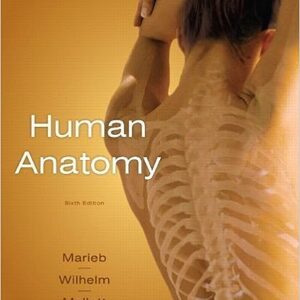 Test Bank For Human Anatomy 6th Edition By Elaine N. Marieb