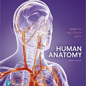 Test Bank For Human Anatomy 9th Edition By Frederic H. Martini