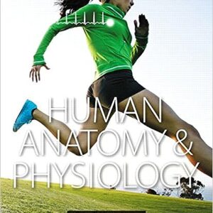 Human Anatomy Physiology 1st Edition By Erin C. Amerman - Test Bank