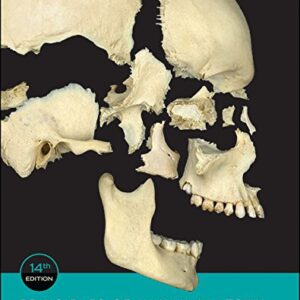 Test Bank Principles of Human Anatomy, 14th Edition